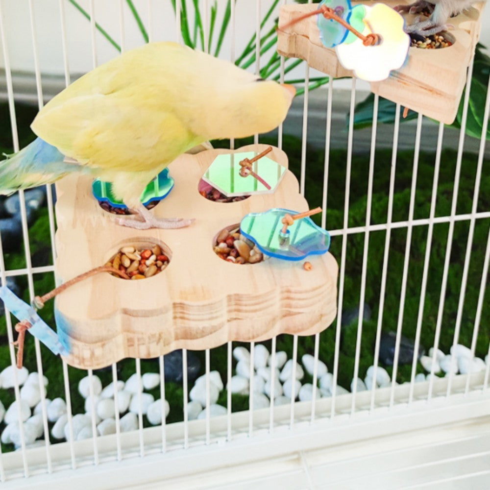 Parrot Foraging Platform Development Intelligence Pet