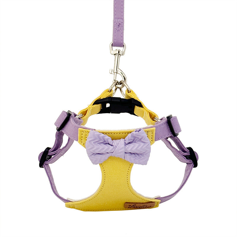 Dog Hand Holding Rope Vest Small Dog