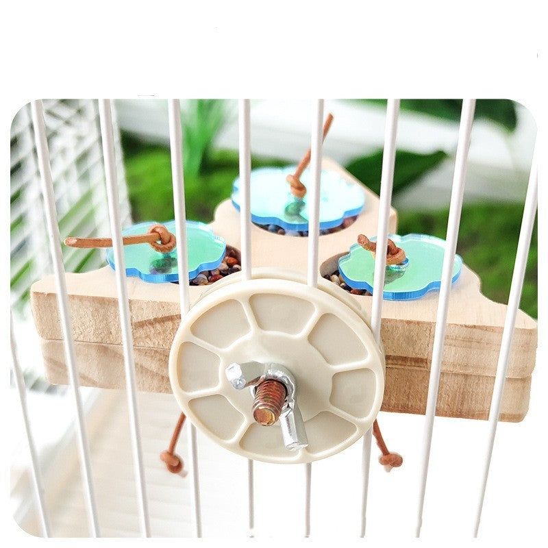 Parrot Foraging Platform Development Intelligence Pet