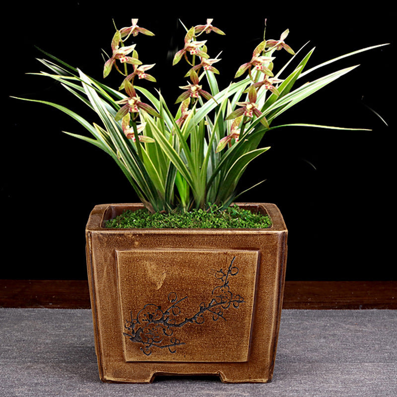 Orchid Grass Succulent Small Flower Pot Porcelain Minimalist Creative