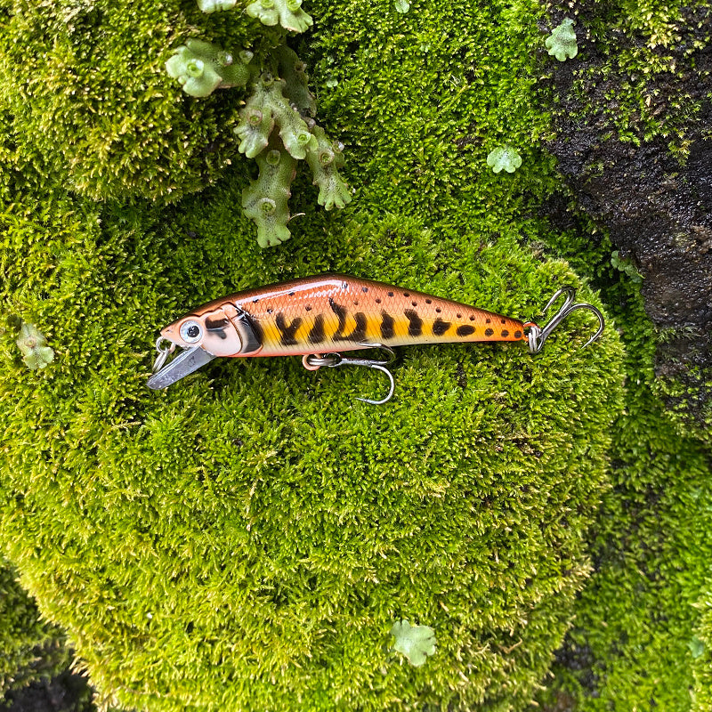 Fashion Personality Warped Mouth Bass Dummy Bait