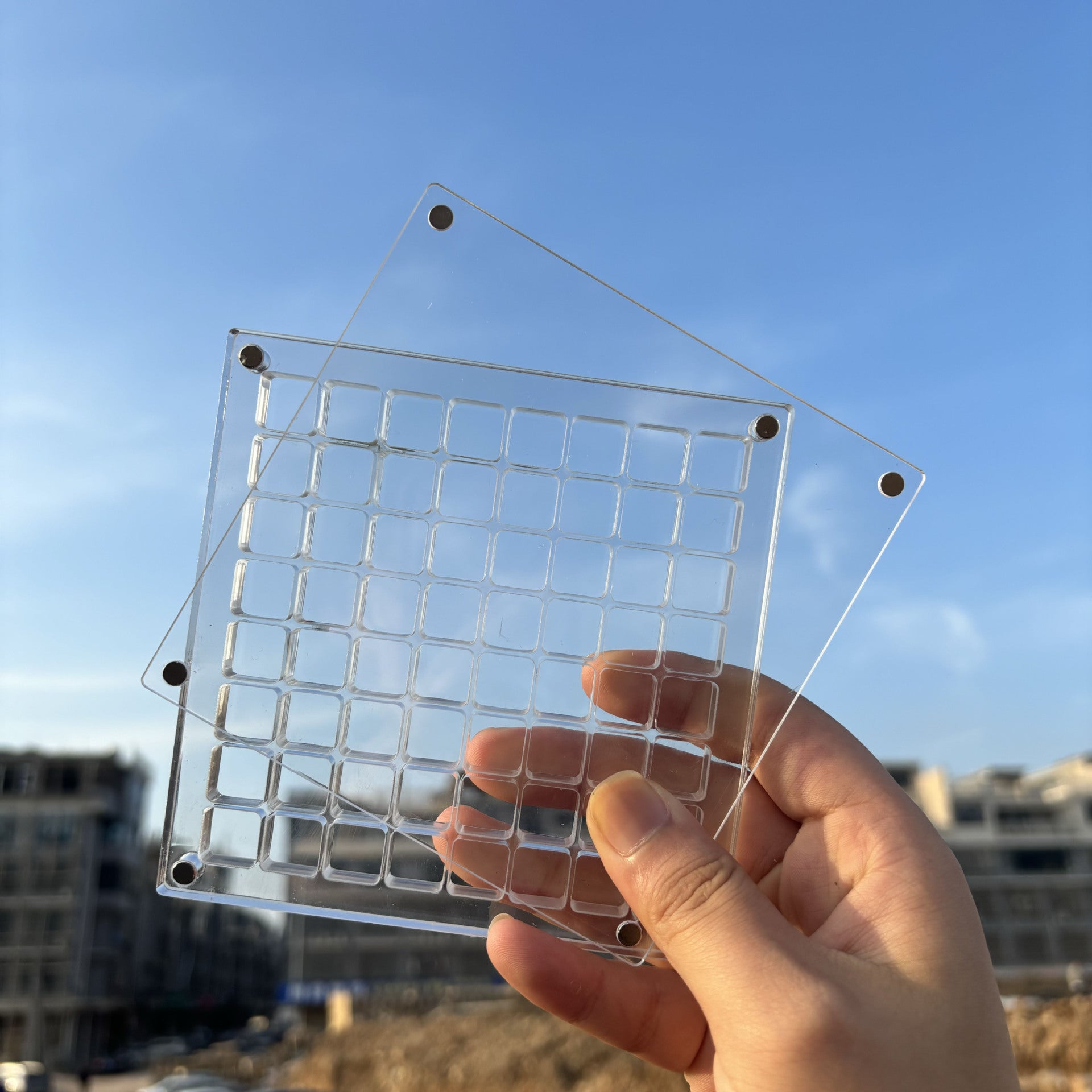 Creative Transparent Acrylic Shell Storage Box