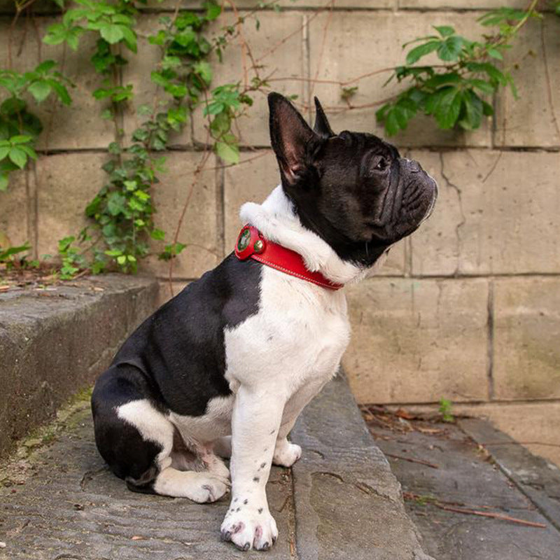 Fruit Tracker Collar Dog Positioning Collar Protective Leather Case