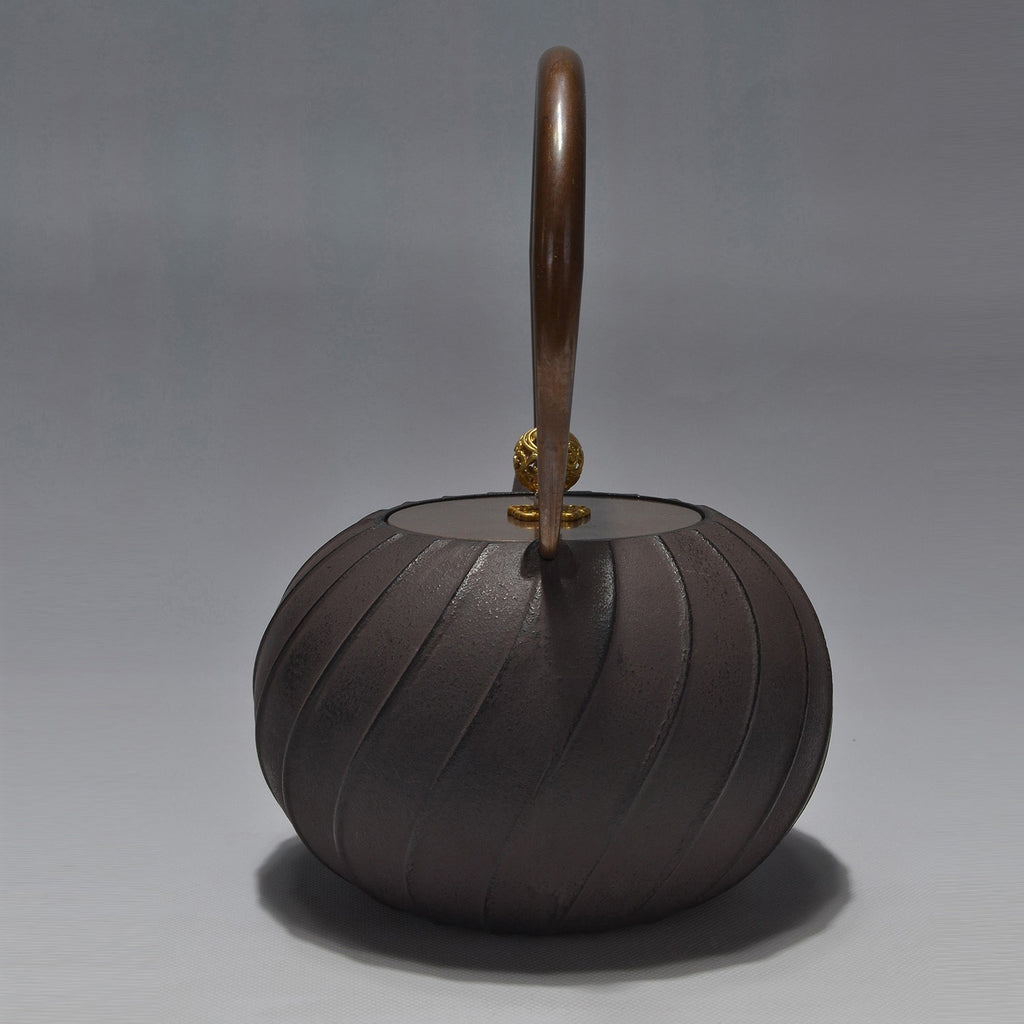 Daiji unglazed cast iron teapot