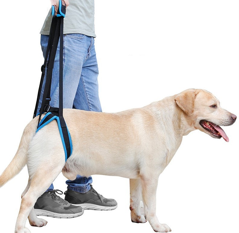 Pet Leg Strap Walking Support Dog Leg Support
