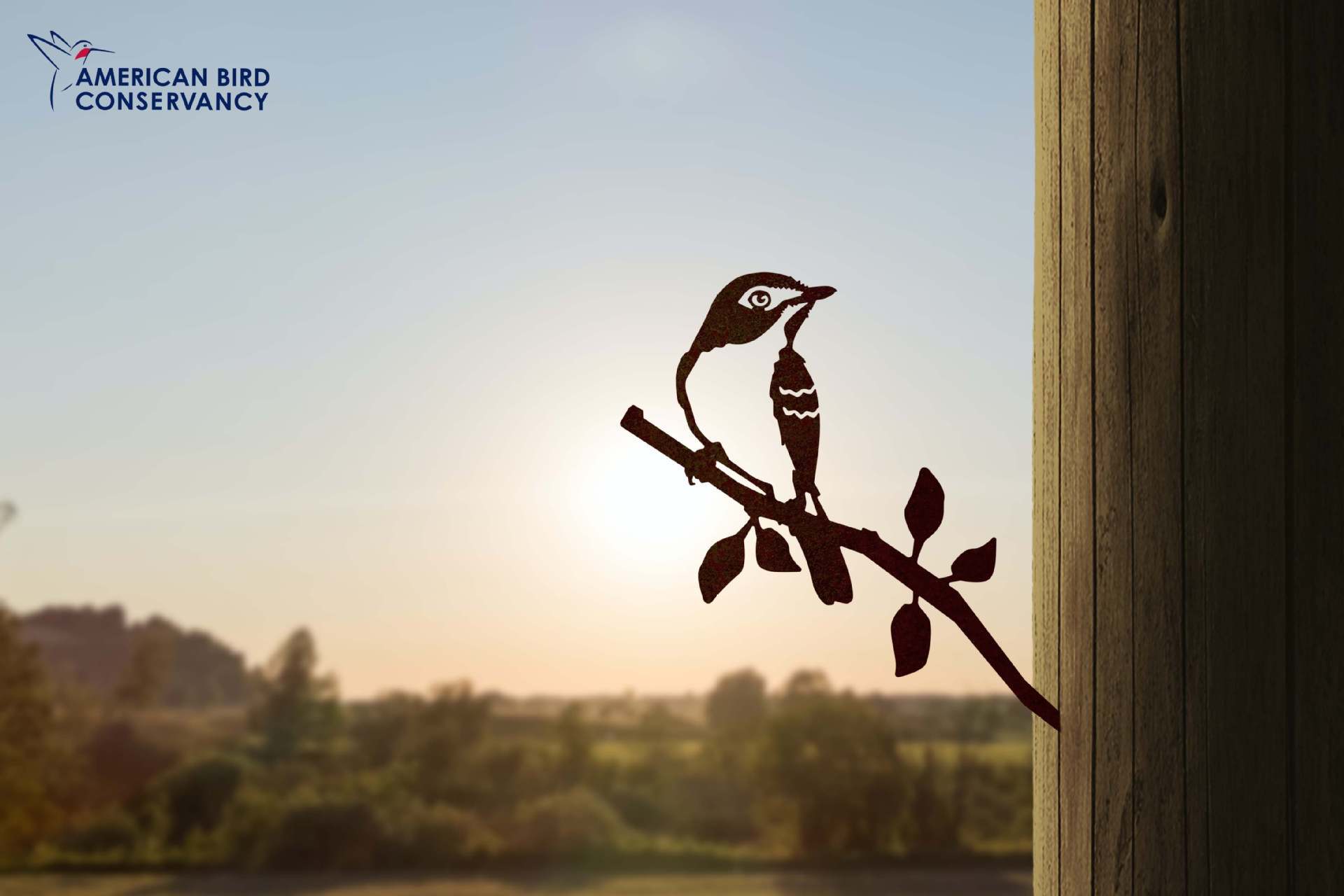 Owl Bird Hummingbird Woodpecker Silhouette Garden Plug-in