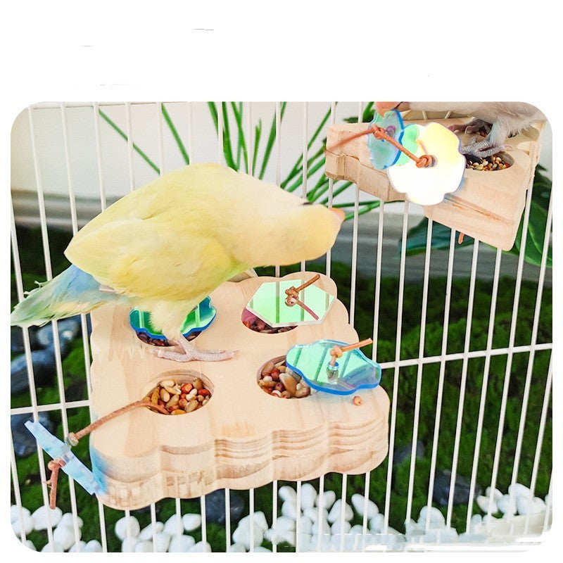 Parrot Foraging Platform Development Intelligence Pet