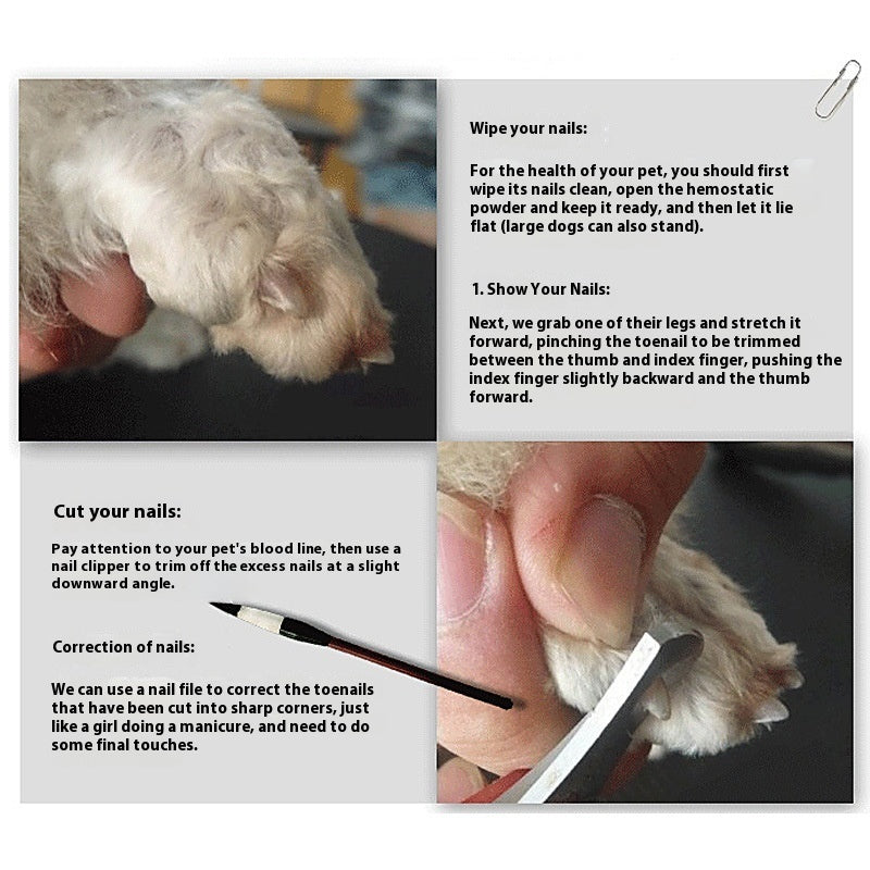 Shearing Tool Pet Shaver Accessories