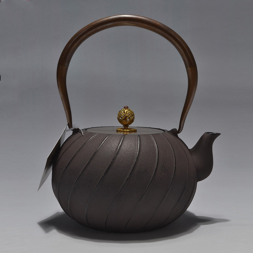 Daiji unglazed cast iron teapot
