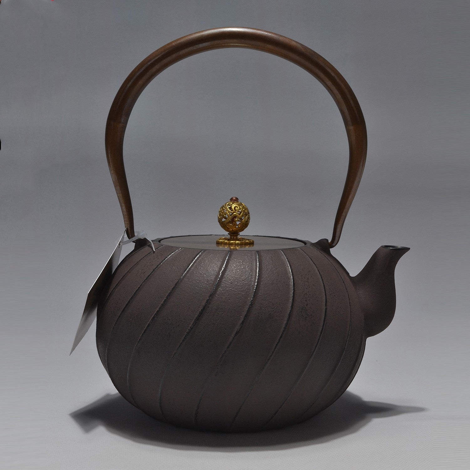 Daiji unglazed cast iron teapot