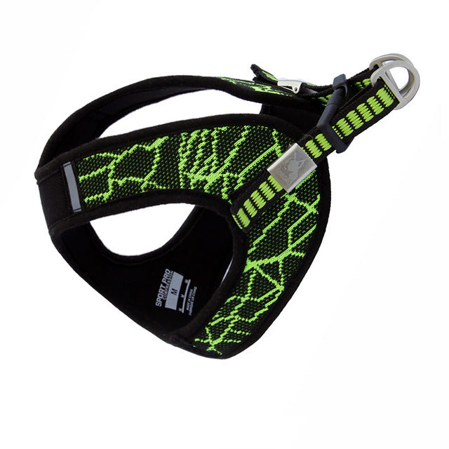 New pet chest strap V8 comfortable chest back