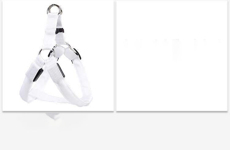 Dog Leashing Vest With Led Illuminated Chest Back