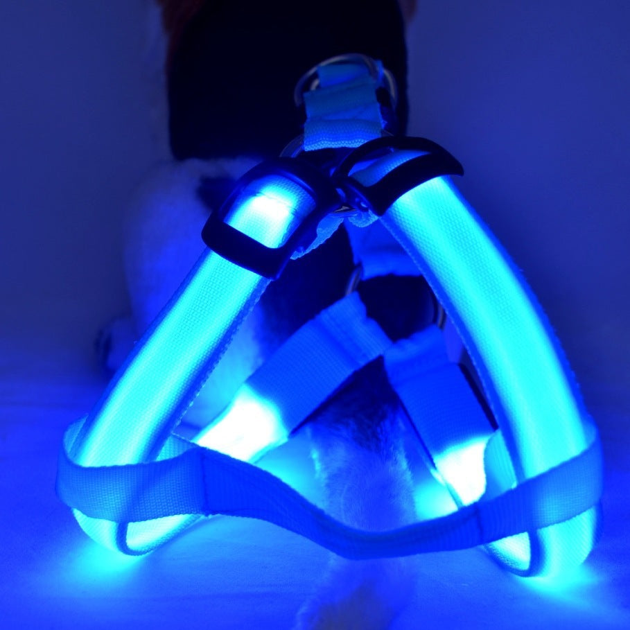 Dog Leashing Vest With Led Illuminated Chest Back