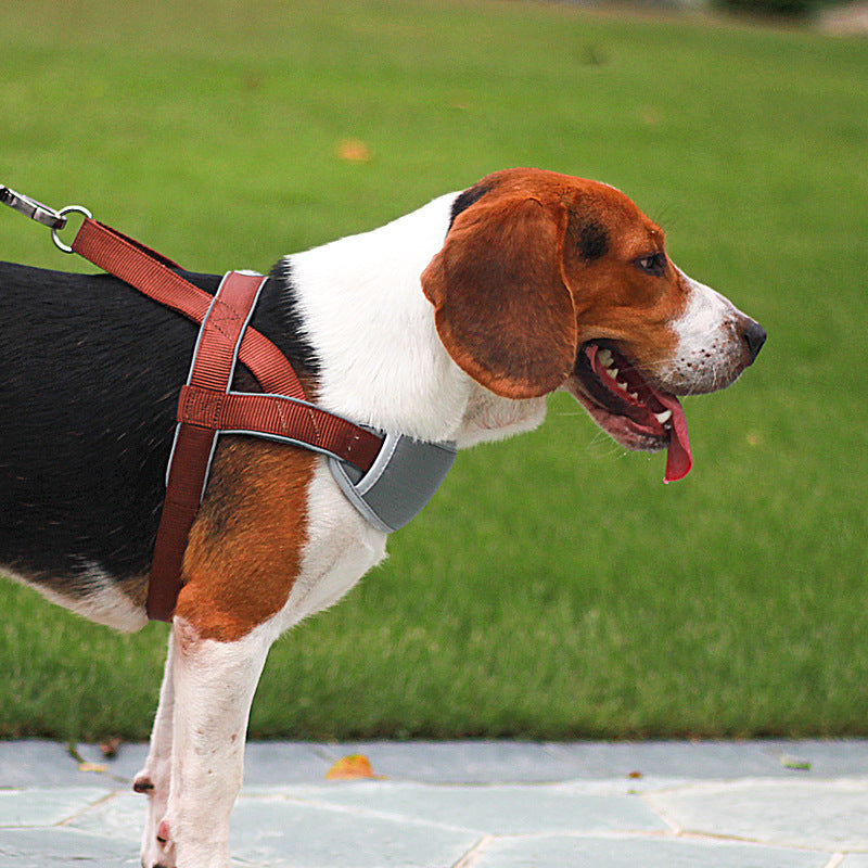 Dog Leash Vest Type Chest Strap