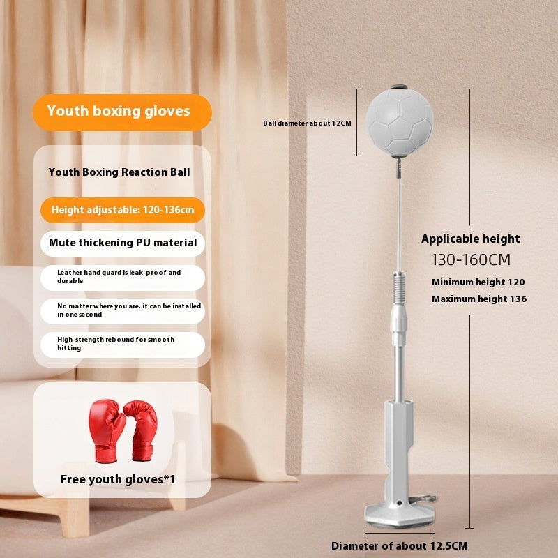Boxing Rapid Response Ball Indoor Vertical