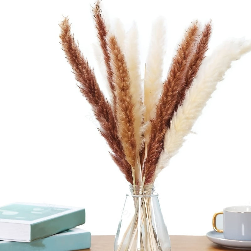PAMPAS Bohemian Decorative Reed Rabbit Tail Grass Mix And Match Dried Flowers Bouquet