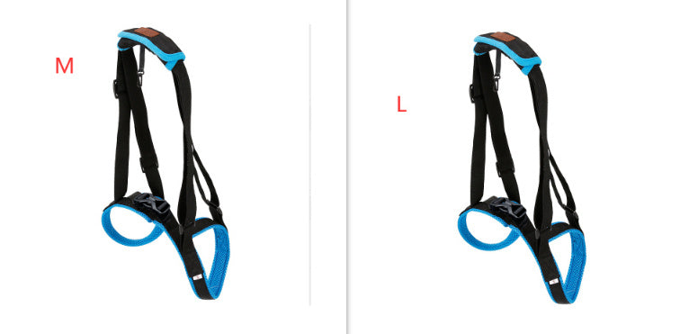 Pet Leg Strap Walking Support Dog Leg Support