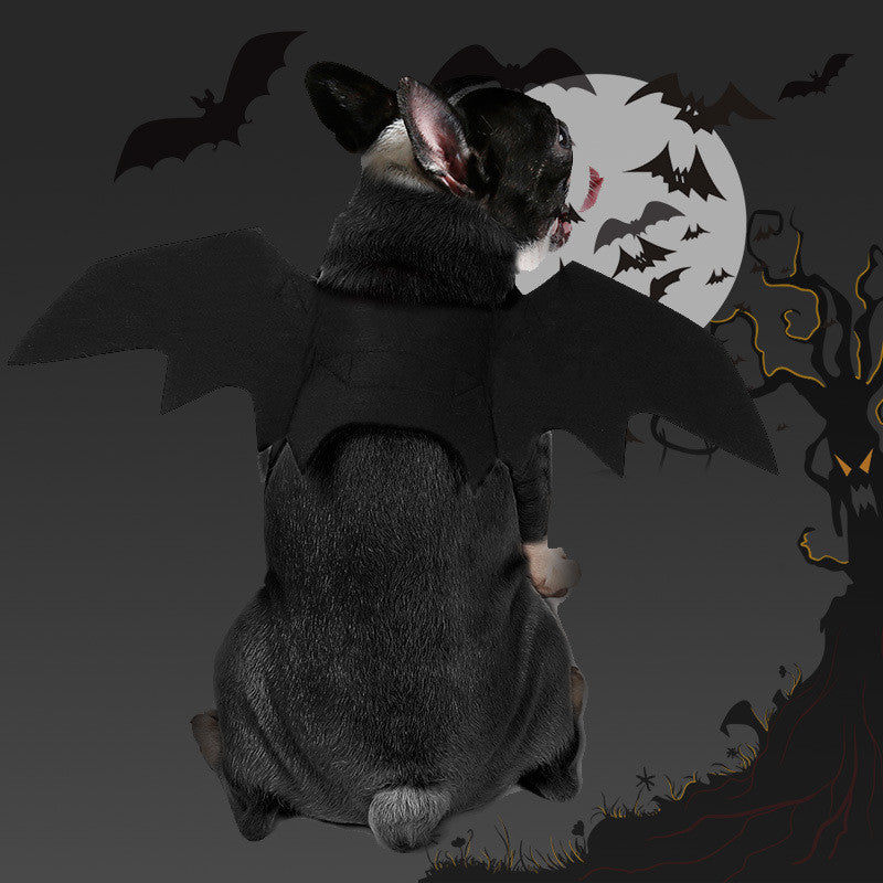 Pet bat wings clothes