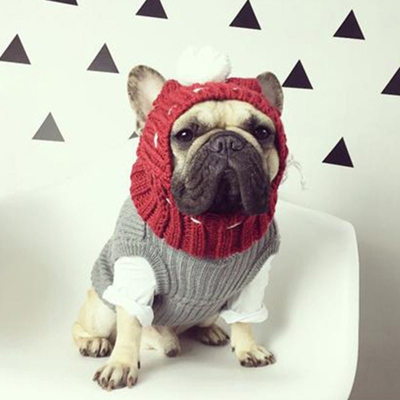 Anglo-FrenchBulldog Pug Funny Hat