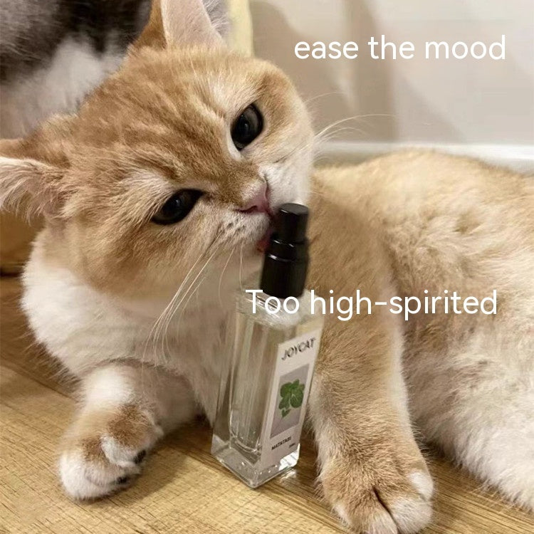 Household Personalized Cat Happy Water