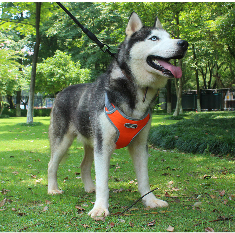Reflective explosion-proof punch vest