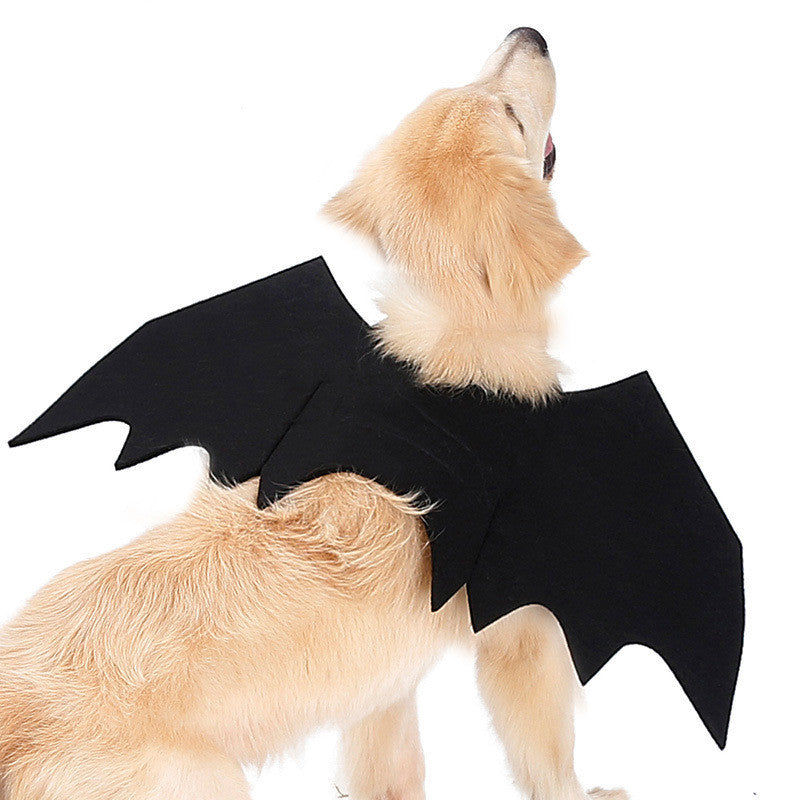 Pet bat wings clothes