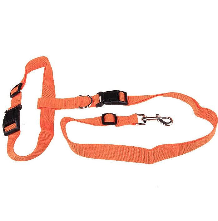 Explosive Pet Car Rear Seat Ring Safety Rope
