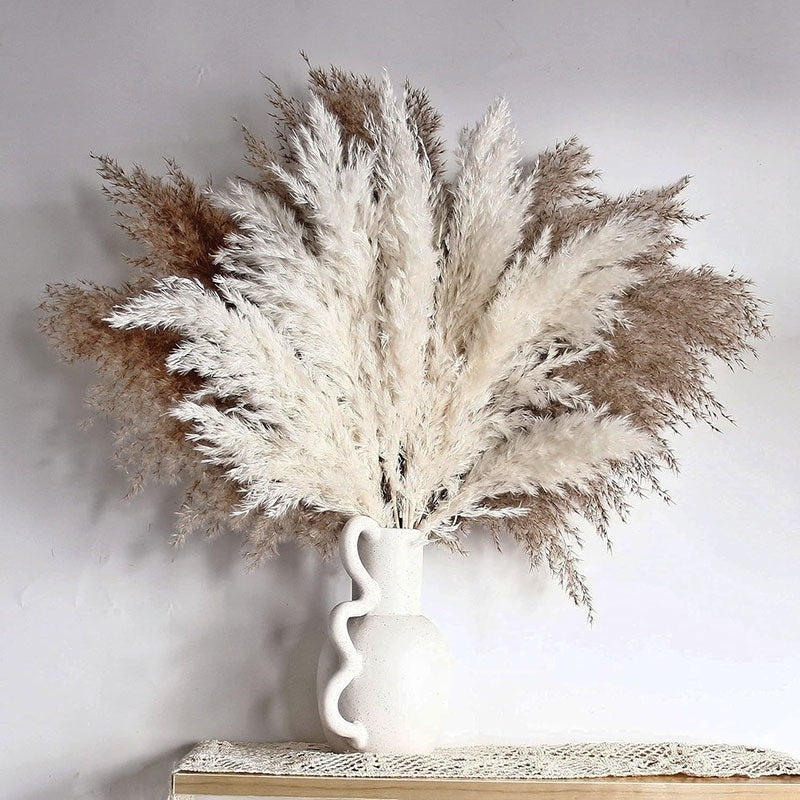 PAMPAS Bohemian Decorative Reed Rabbit Tail Grass Mix And Match Dried Flowers Bouquet