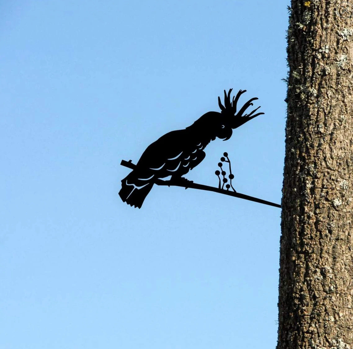 Owl Bird Hummingbird Woodpecker Silhouette Garden Plug-in