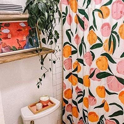 Colorful Shower Curtain Natural Clear Waterproof