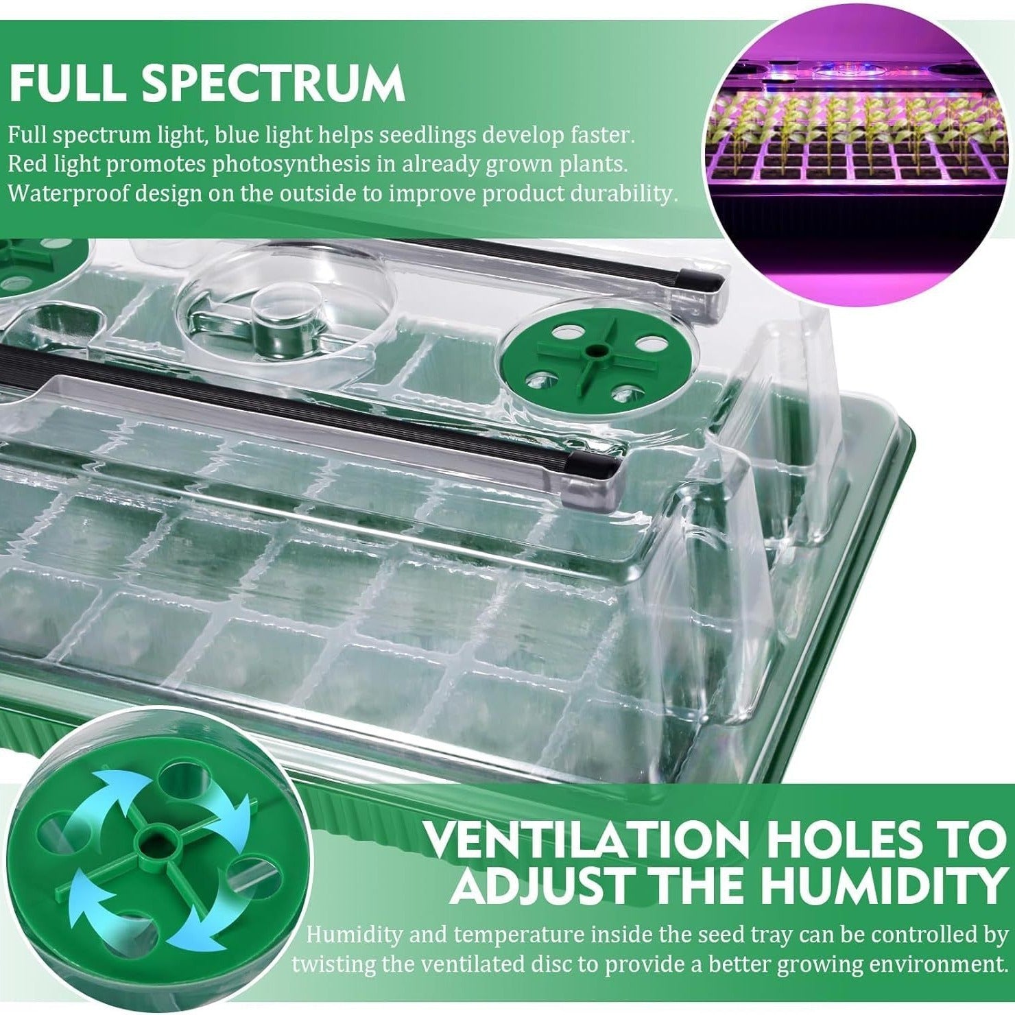 Seedling Digital Display Controller Can Be Timed