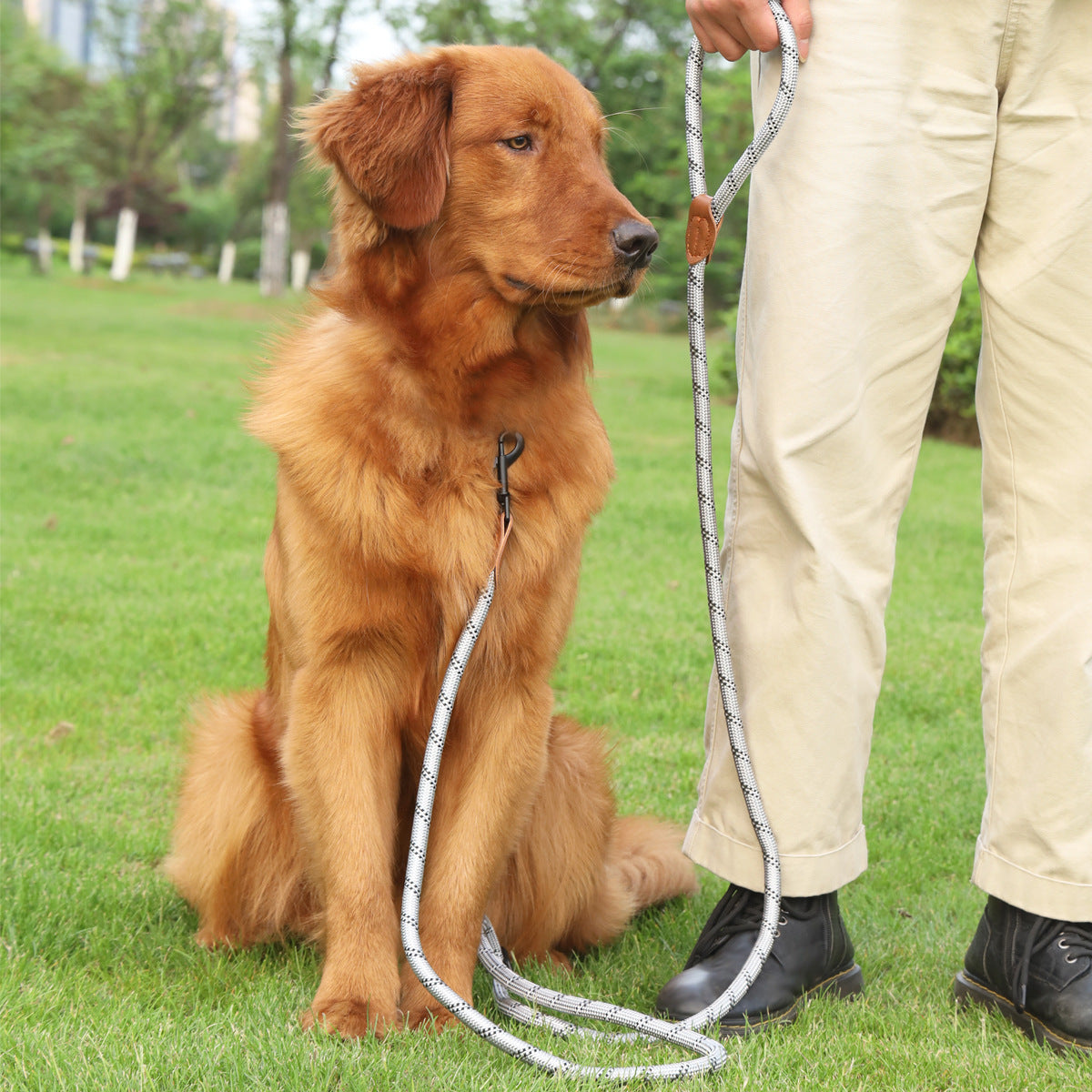 Pet Multifunctional Adjustable Reflective Hand Holding Rope