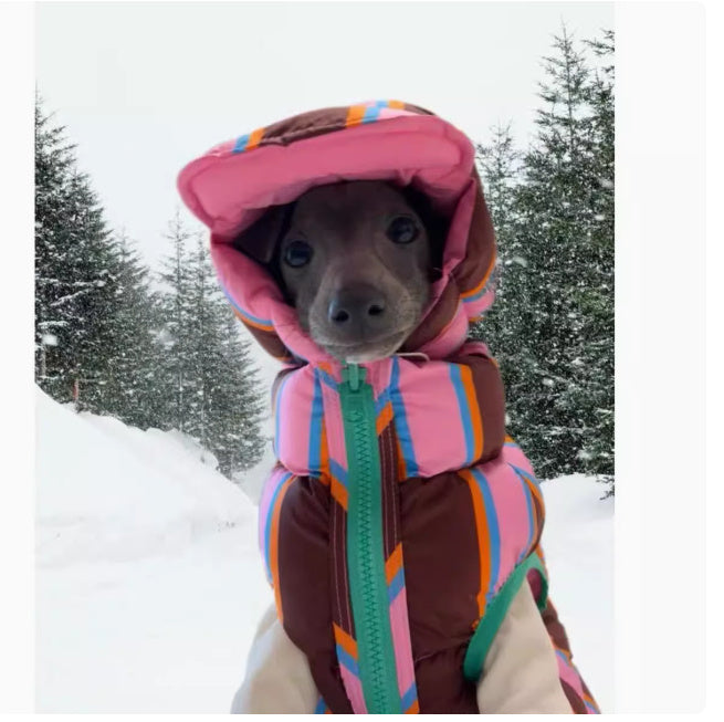 Autumn And Winter Pet Striped Vest