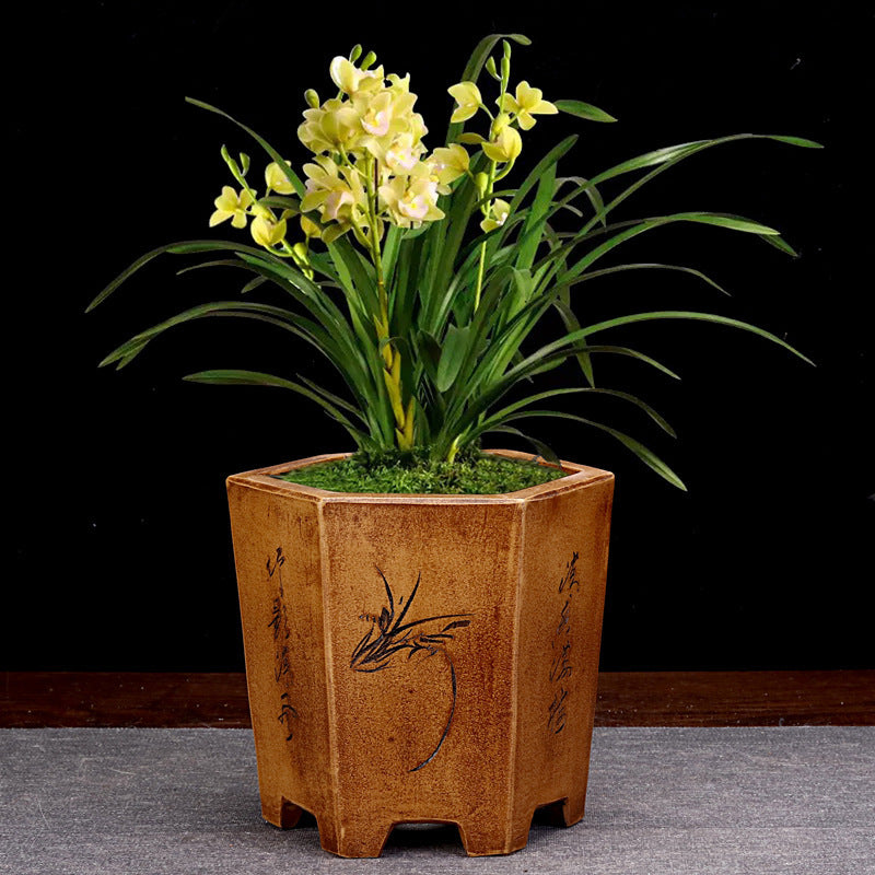 Orchid Grass Succulent Small Flower Pot Porcelain Minimalist Creative