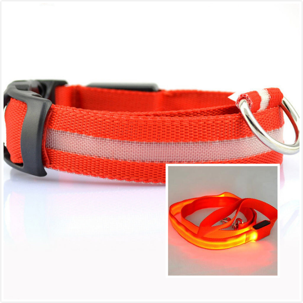 Dog LED luminous collar