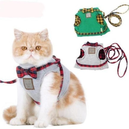 Kitty Cat Harness Offer