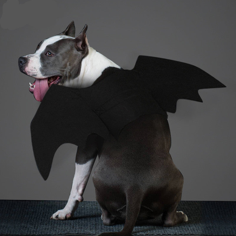 Pet bat wings clothes