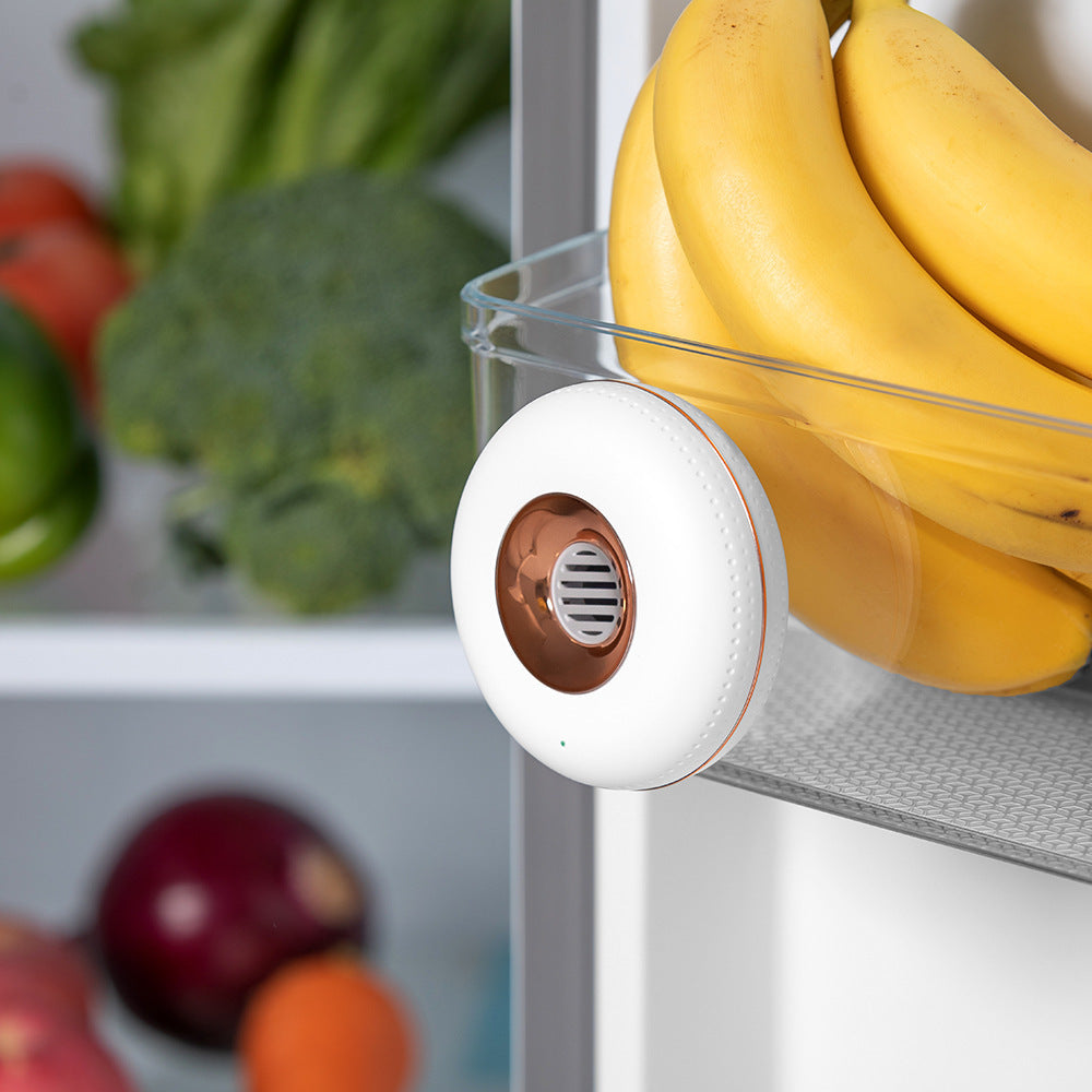 Refrigerator Deodorizer Ozone Sterilization Sterilizer