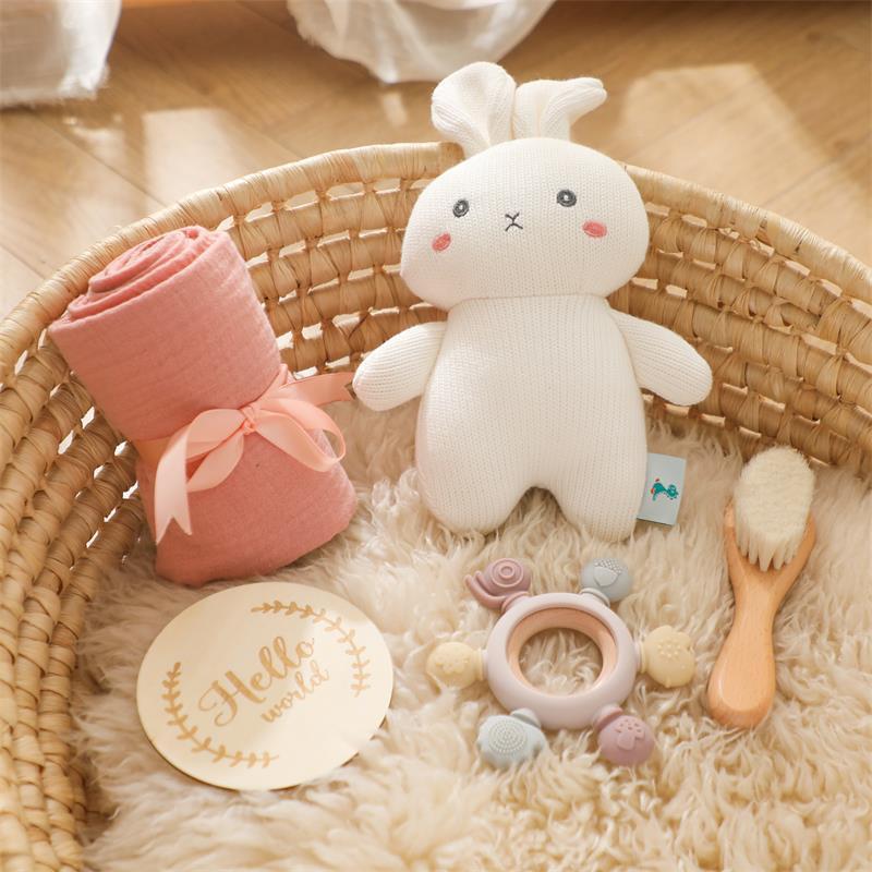 Baby Full-year Photo Commemorative Bath Doll Set
