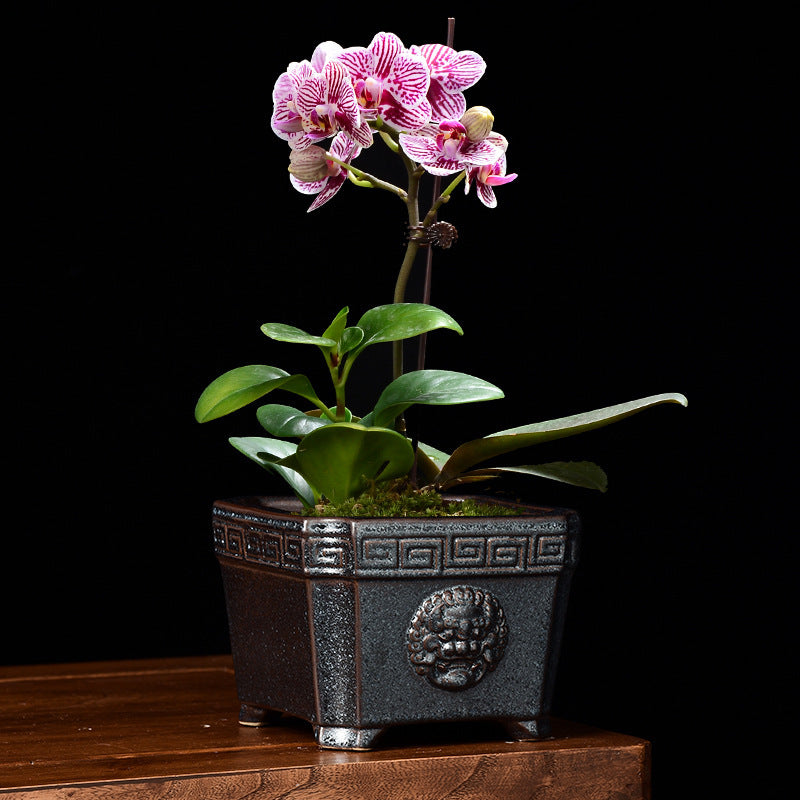 Retro Chinese Style Ceramic Flower Pot Square Creative