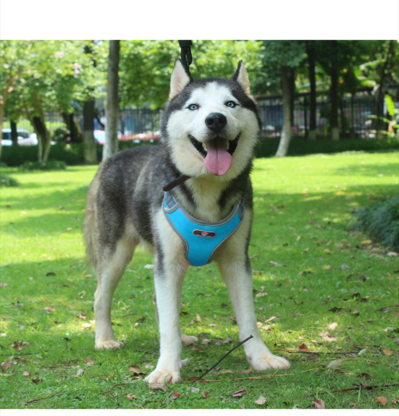 Reflective explosion-proof punch vest