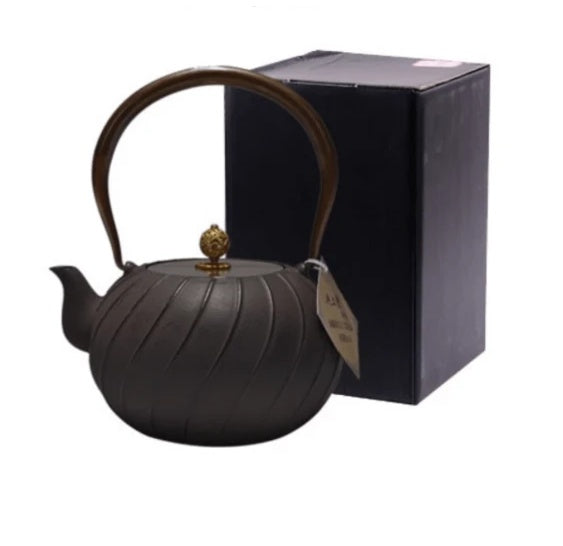 Daiji unglazed cast iron teapot