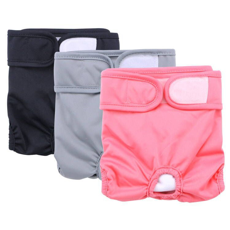 Hot dog physiological pants suit