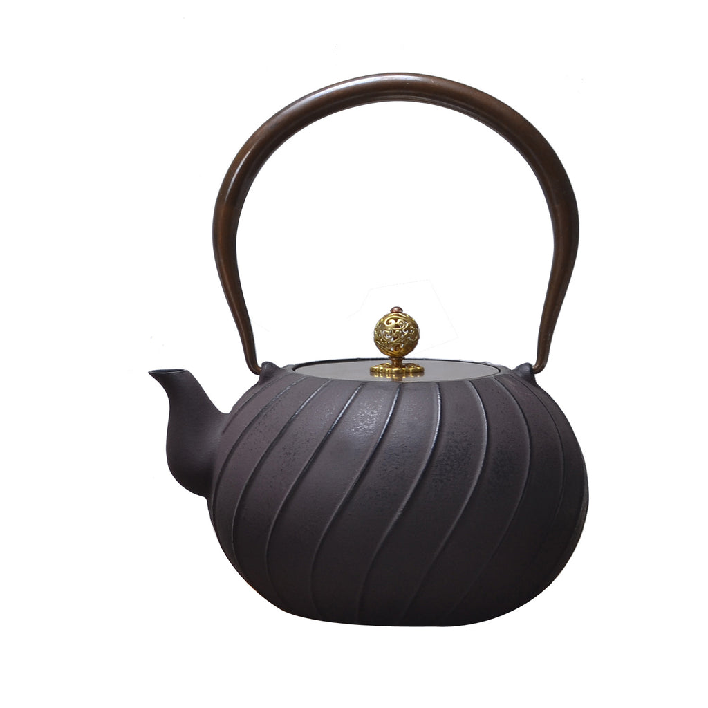 Daiji unglazed cast iron teapot