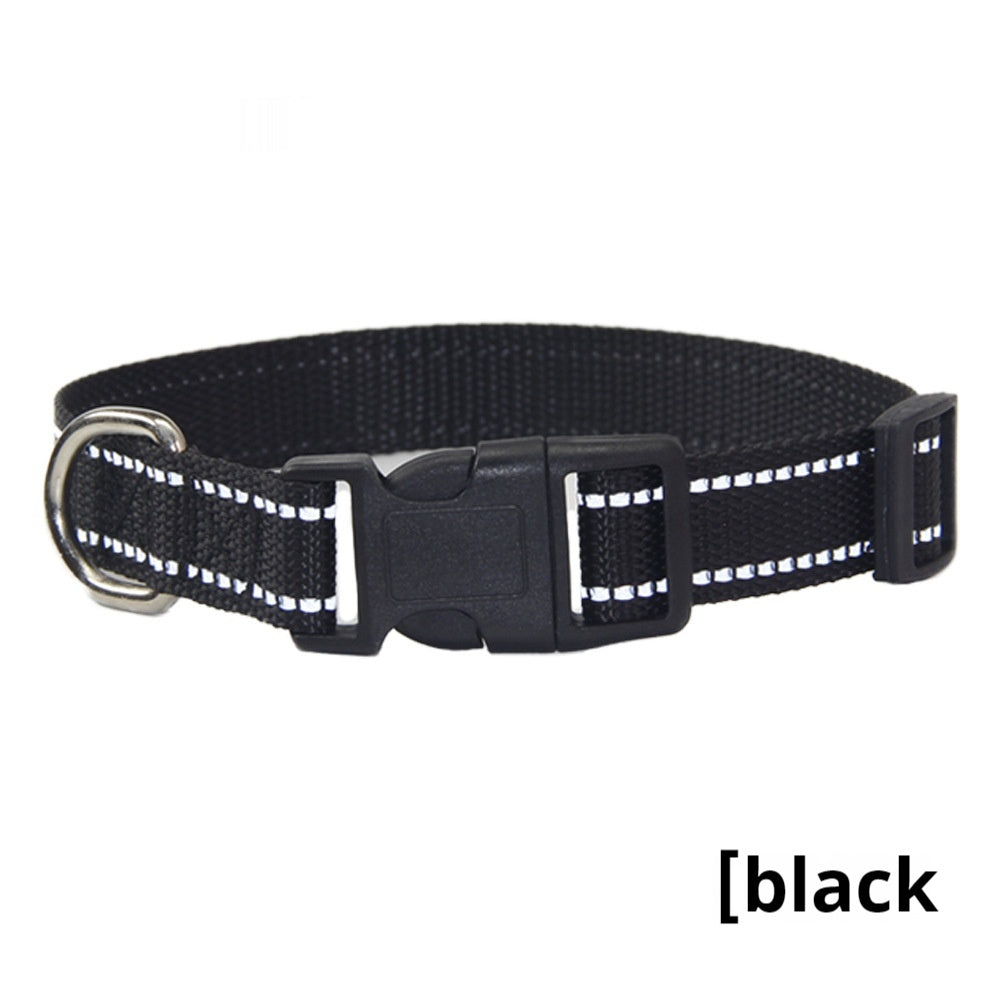Reflective Dog Collar Outdoor Hand Holding Rope