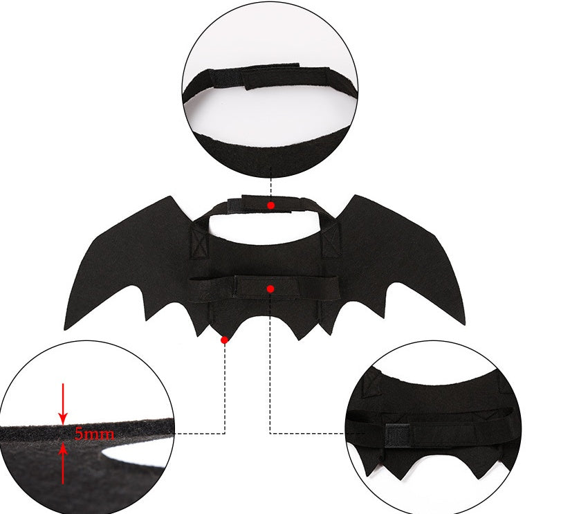 Pet bat wings clothes