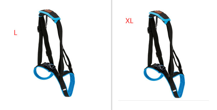 Pet Leg Strap Walking Support Dog Leg Support