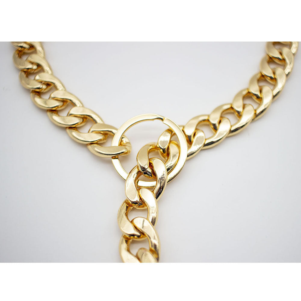 Fashionable Simple Domineering Metal Pet Necklace