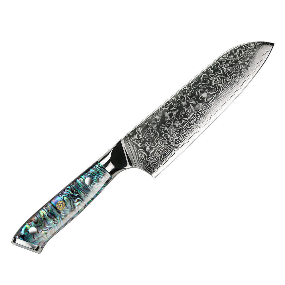 G10 67 Layers Damascus Steel Chef