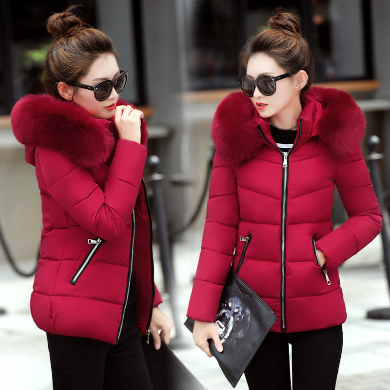 Korean Style Hooded Padded Jacket All-Match Small Padded Jacket